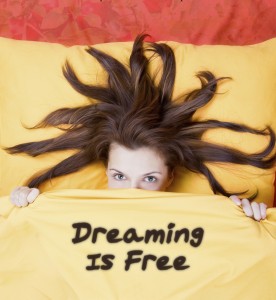 Dreaming Is Free cover